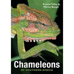 [BKSA-ZOO] Chameleons of Southern Africa
